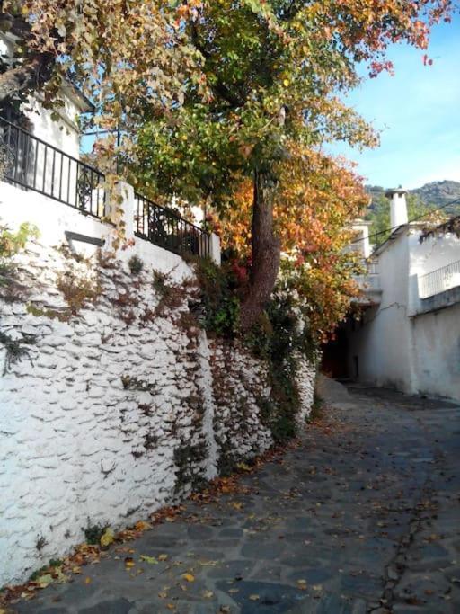 Casa Margarita Holiday home